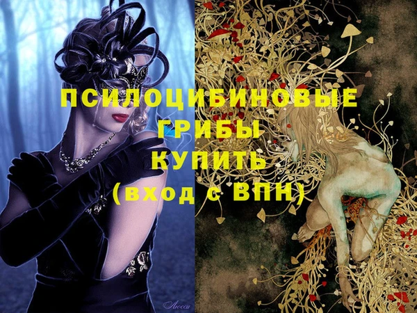 мдпв Арсеньев